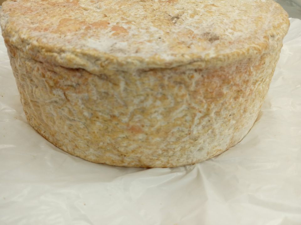 Online Cheese School 101 – Winter Semester 2022